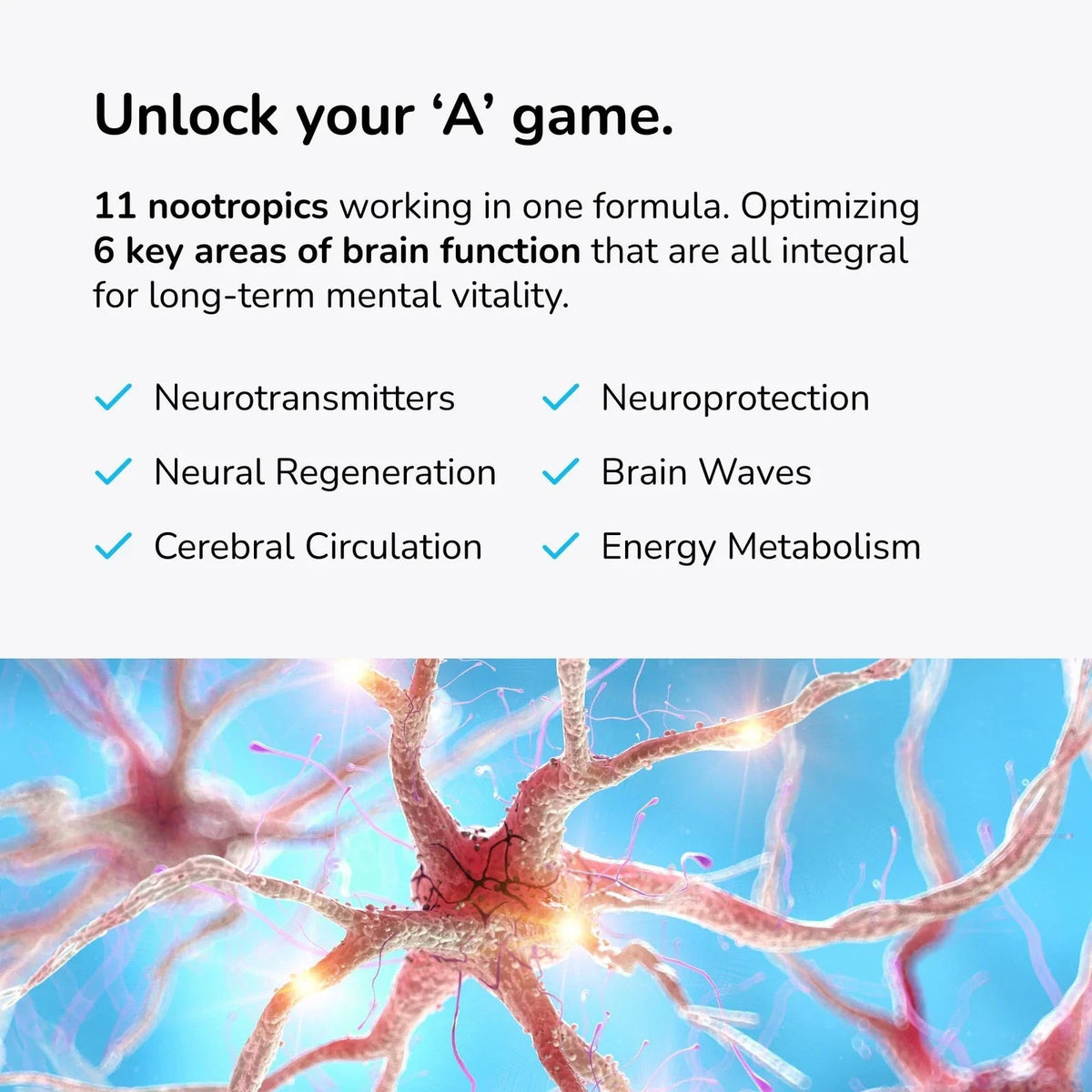 Nootropic Brain Booster Supplement 60 Count Plant Based Memory Vitamins Mind