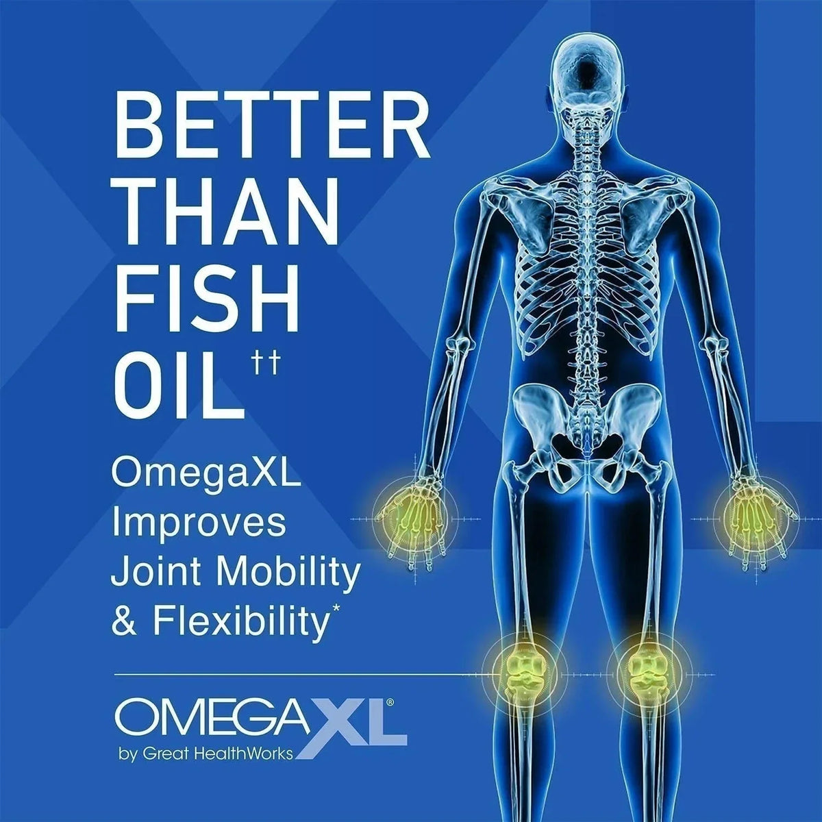 3pk Omega XL 120 Capsules Green Lipped Mussel Omega-3 Joint Relief New